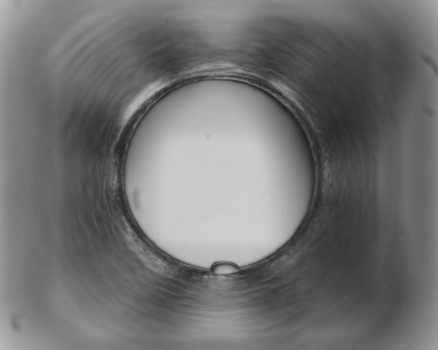 X0000103131458200808221030