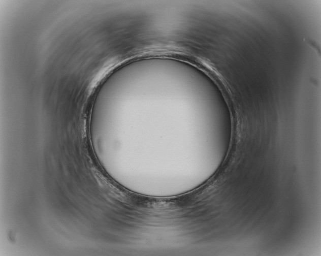 X0000103131459200808221030
