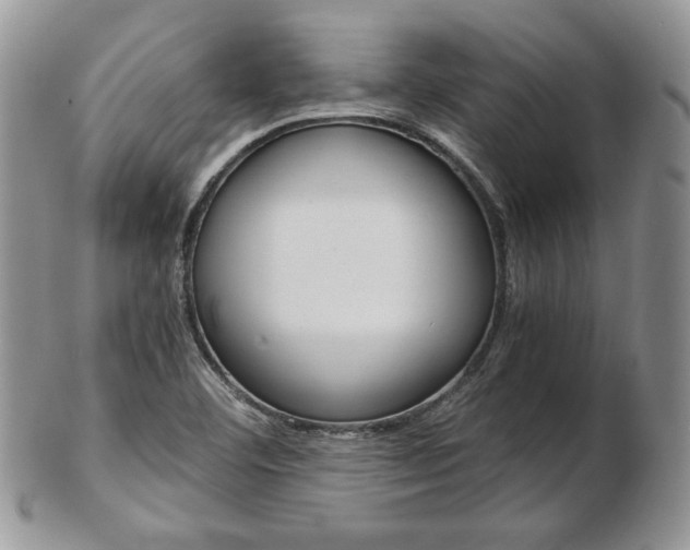 X0000103131460200808221030