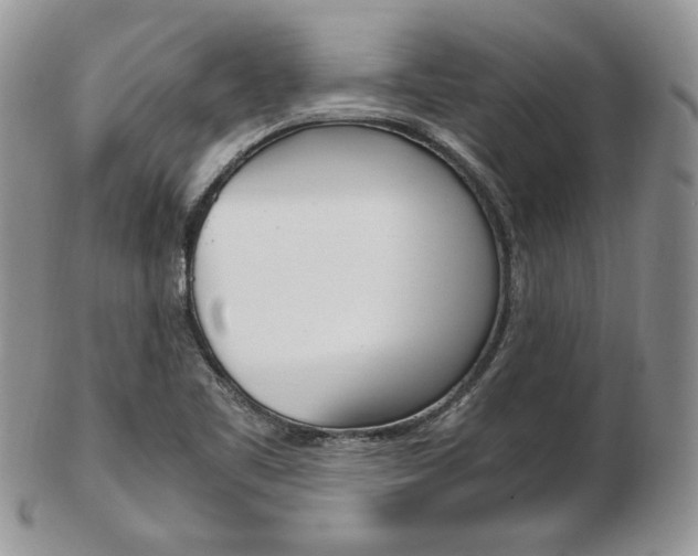 X0000103131461200808221030