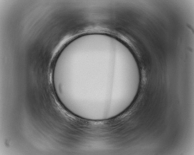 X0000103131462200808221030