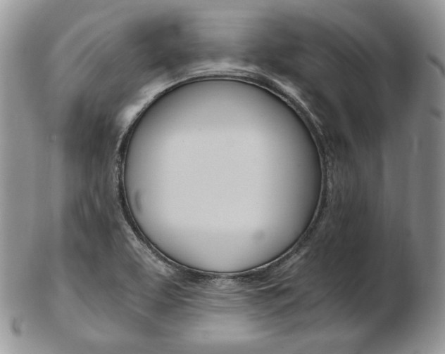 X0000103131463200808221030