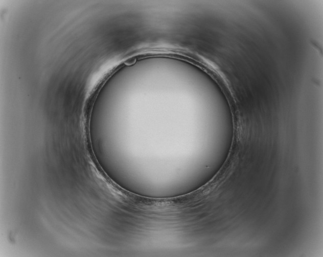 X0000103131464200808221030