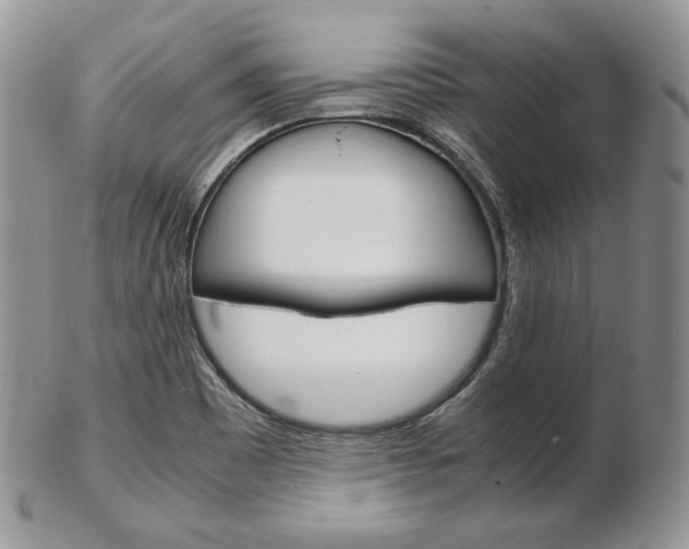 X0000103131465200808221030