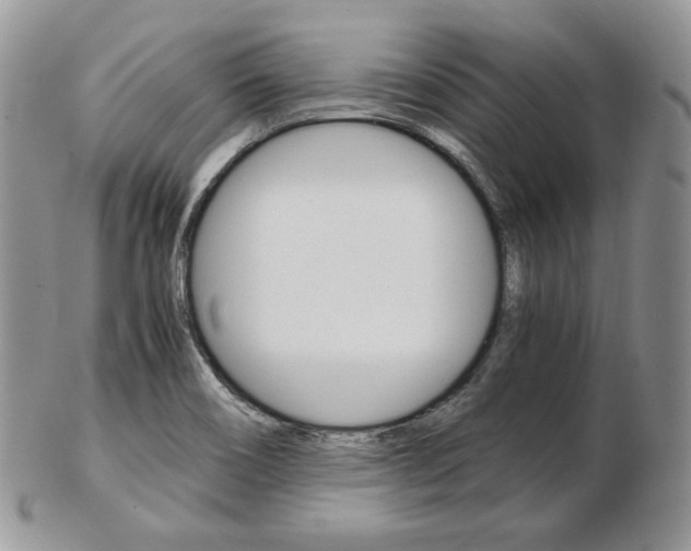 X0000103131466200808221030