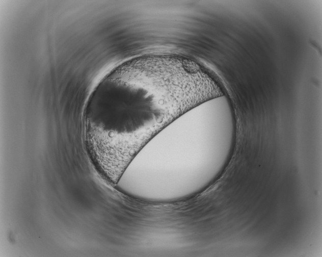 X0000103131467200808221030
