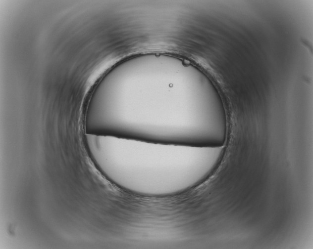 X0000103131469200808221030