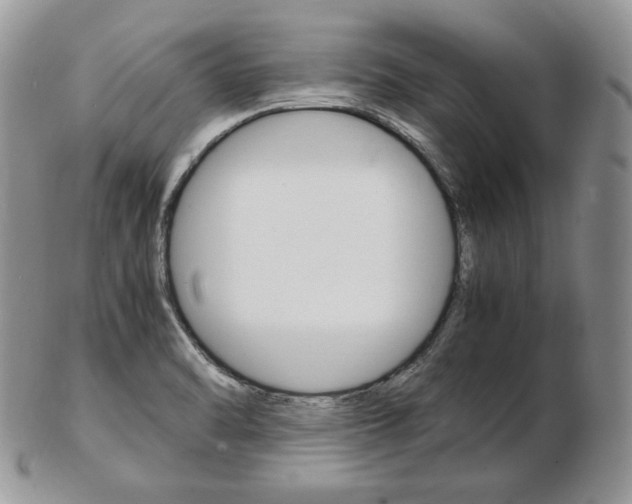 X0000103131470200808221030
