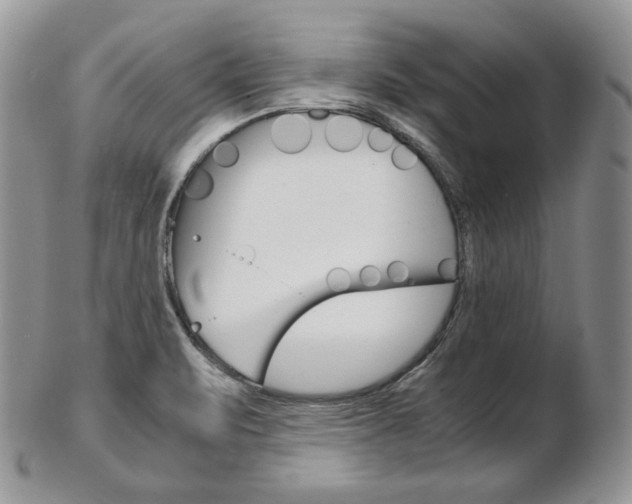 X0000103131471200808221030