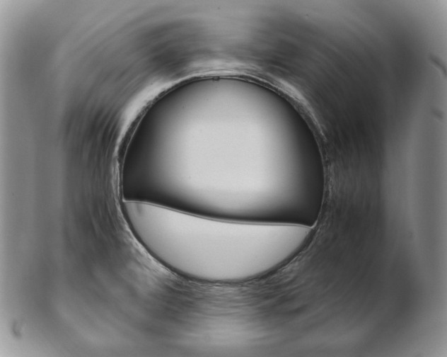 X0000103131472200808221030