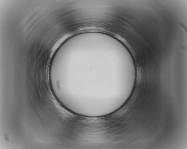 X0000103131474200808221030