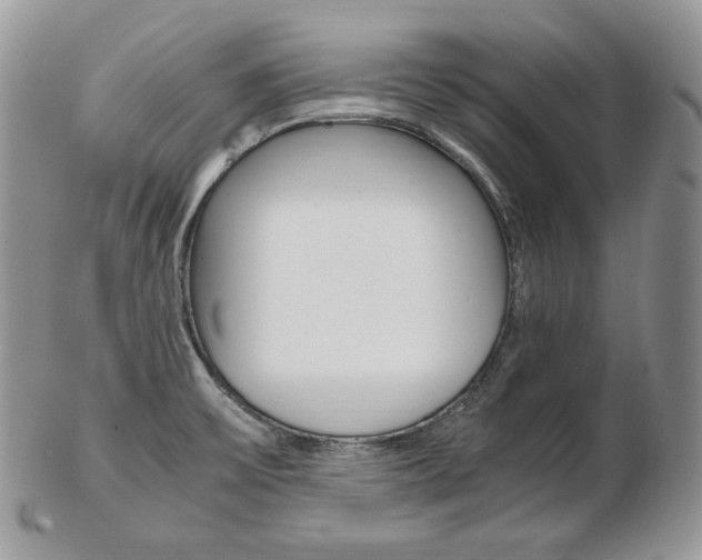 X0000103131475200808221030