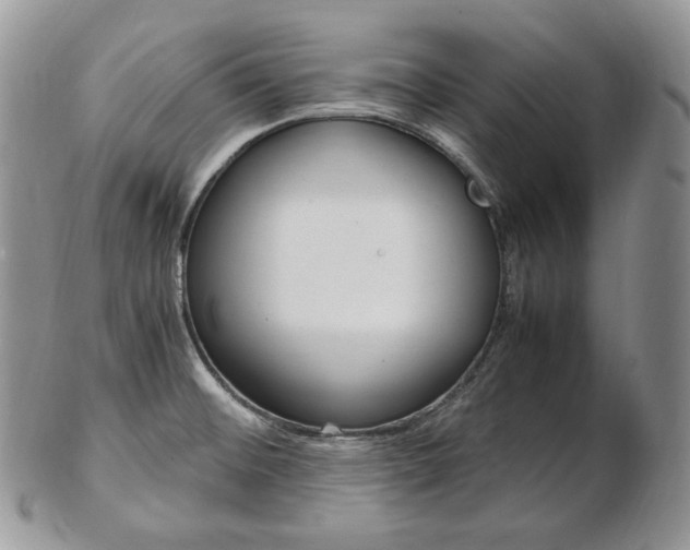 X0000103131476200808221030