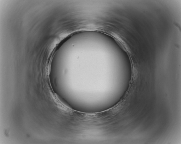 X0000103131477200808221030