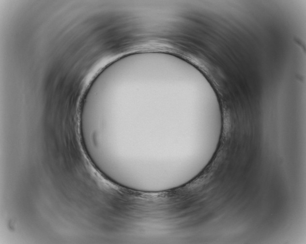 X0000103131478200808221030