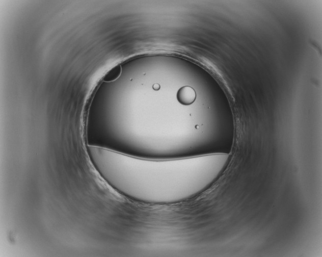 X0000103131480200808221030