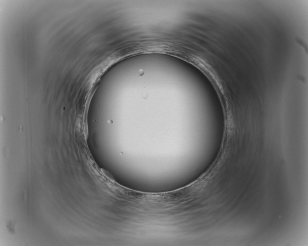X0000103131481200808221030