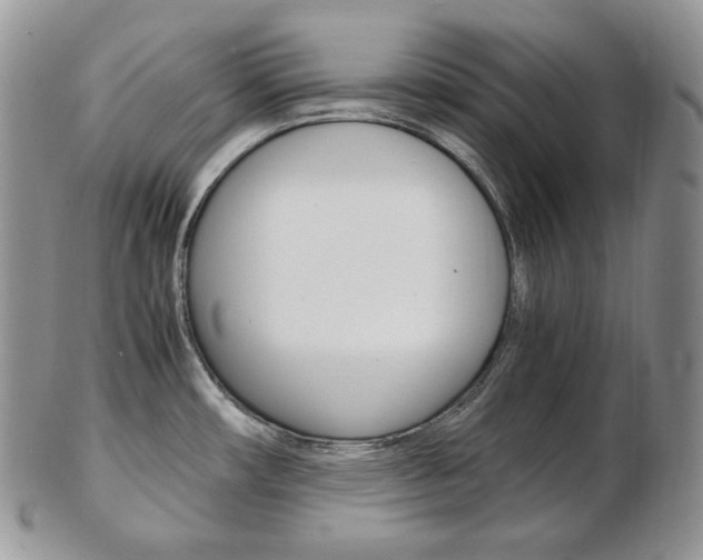 X0000103131482200808221030