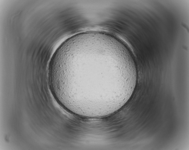 X0000103131483200808221030