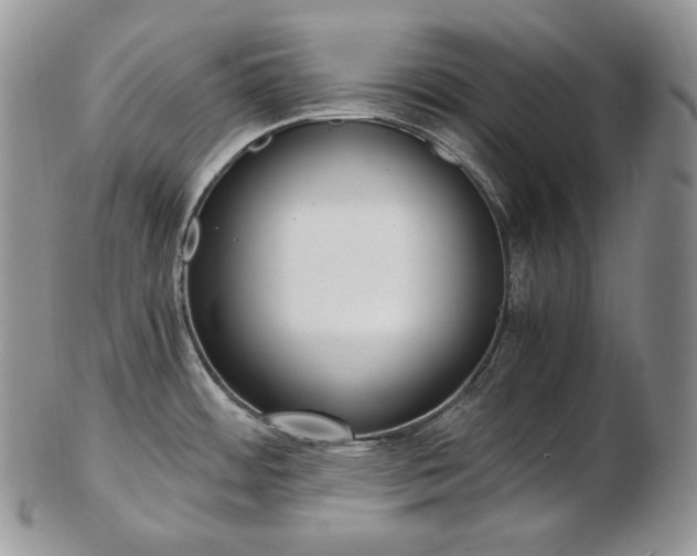 X0000103131484200808221030
