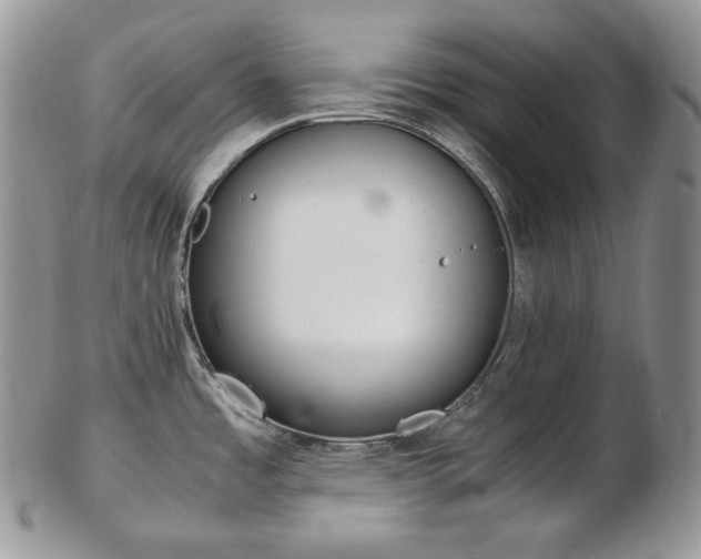 X0000103131485200808221030