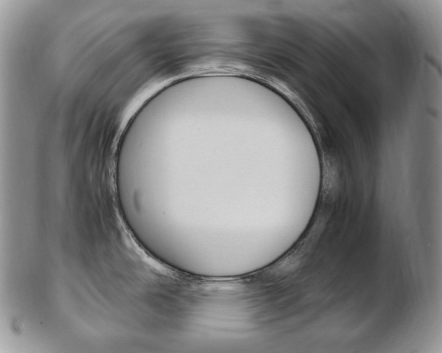 X0000103131486200808221030