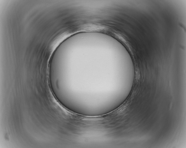 X0000103131487200808221030