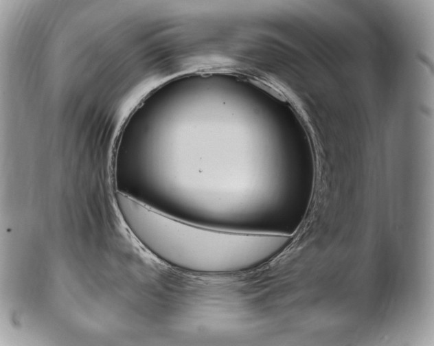 X0000103131488200808221030
