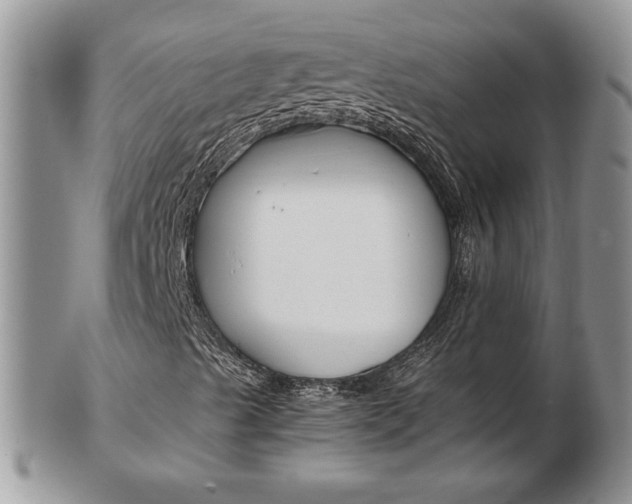 X0000103131489200808221029