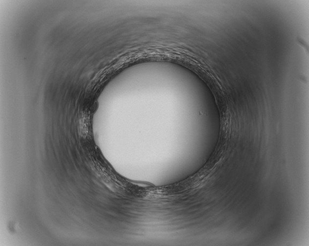 X0000103131490200808221029