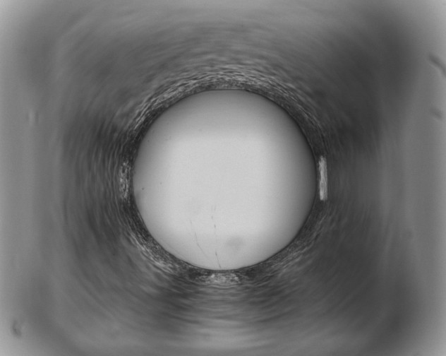 X0000103131491200808221029