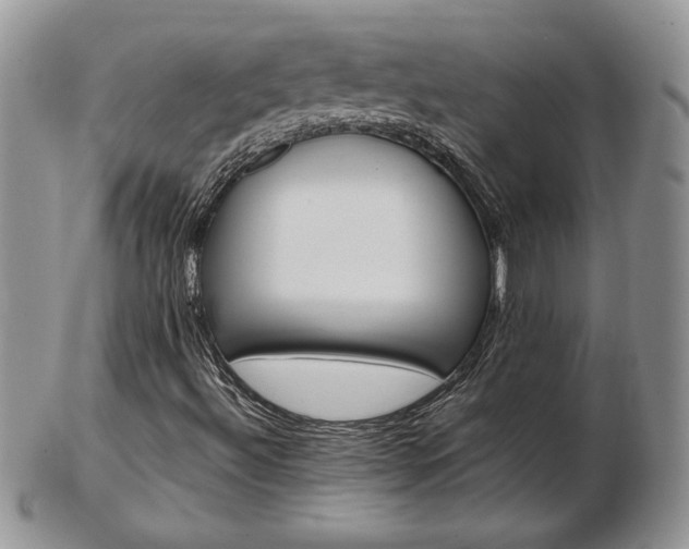 X0000103131492200808221029
