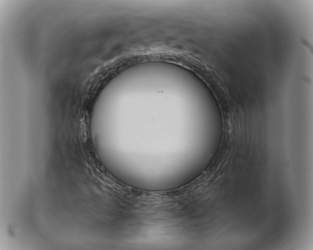 X0000103131493200808221029