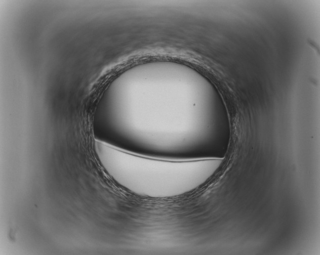 X0000103131494200808221029