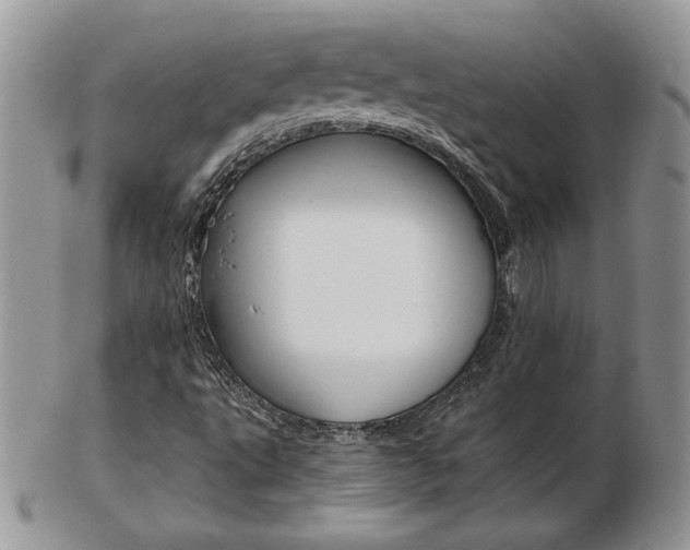 X0000103131495200808221029
