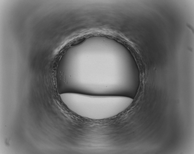 X0000103131496200808221029