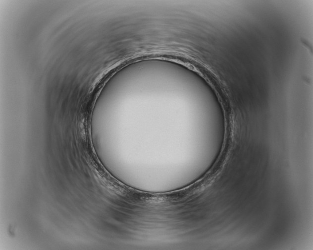 X0000103131497200808221029