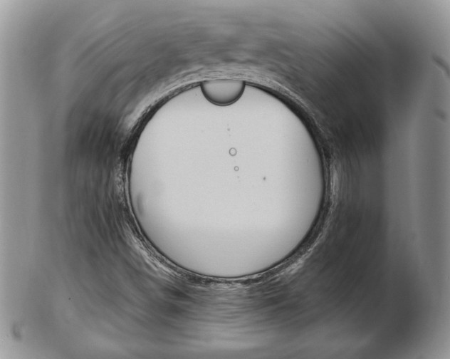 X0000103131498200808221029