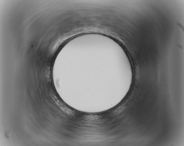 X0000103131499200808221029