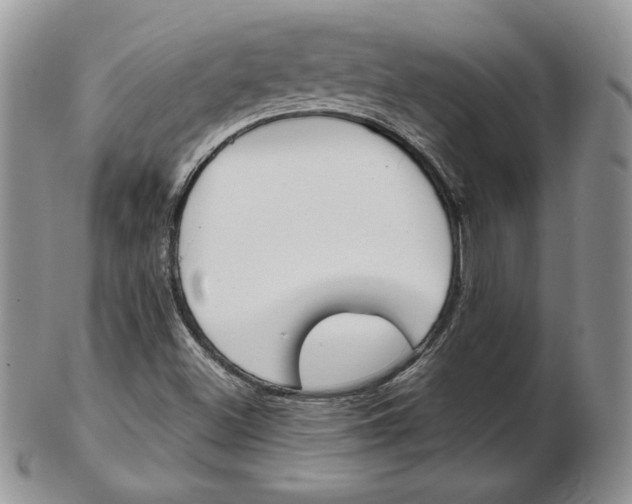 X0000103131500200808221029