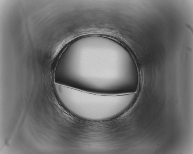 X0000103131501200808221029