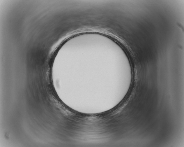 X0000103131502200808221029