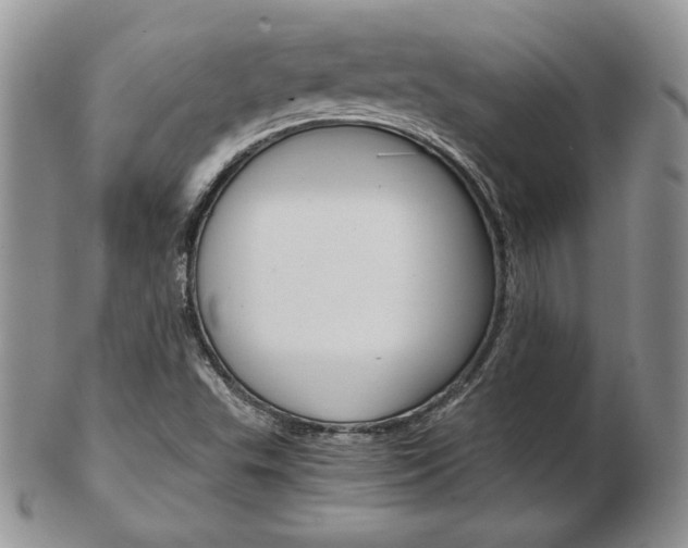 X0000103131503200808221029