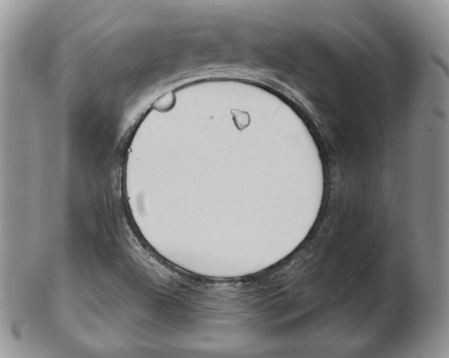 X0000103131504200808221029