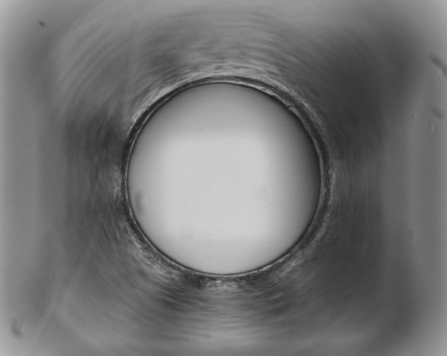 X0000103131505200808221029