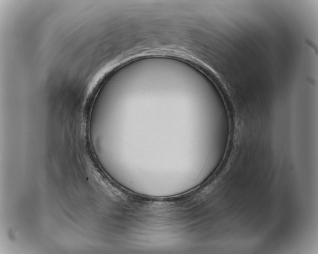 X0000103131506200808221029