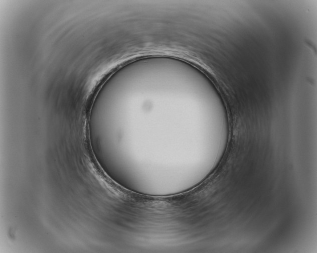 X0000103131507200808221029