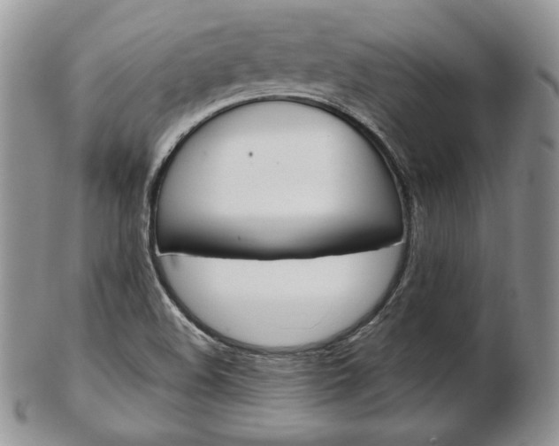 X0000103131508200808221030