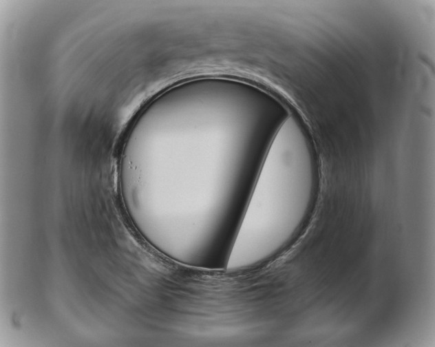 X0000103131509200808221030