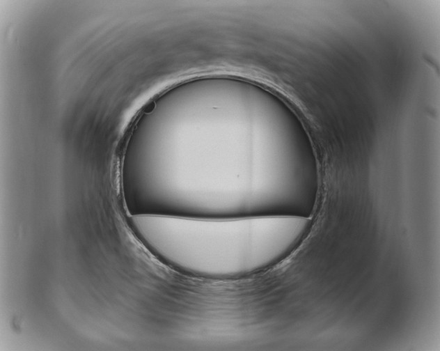 X0000103131510200808221030